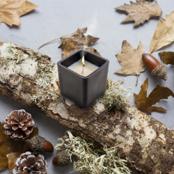 WSC 02 - Scented Candle - Oakmoss & Amber