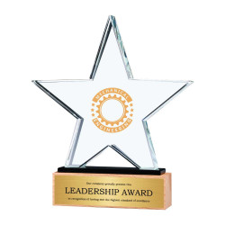 Crystal award with star shape