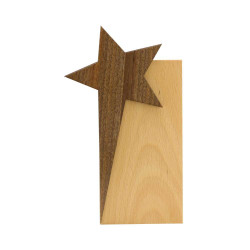 Wooden Star Trophy Award