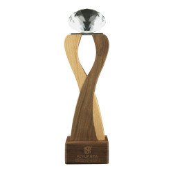 Wooden Trophy with  Diamond shape Crystal Head