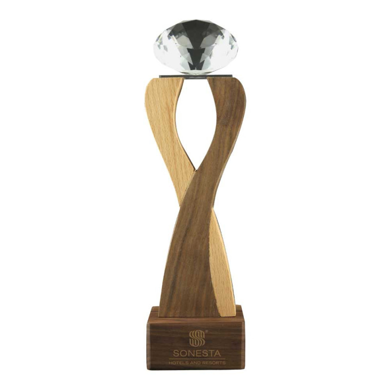 Wooden Trophy with  Diamond shape Crystal Head