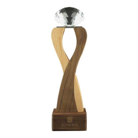Wooden Trophy with  Diamond shape Crystal Head