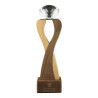 Wooden Trophy with  Diamond shape Crystal Head