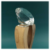 Wooden Trophy with  Diamond shape Crystal Head