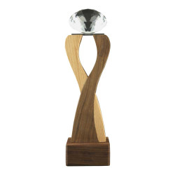Wooden Trophy with  Diamond shape Crystal Head