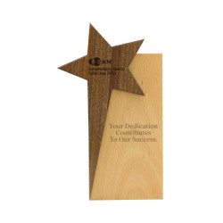 Wooden trophy with star design