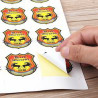 PVC Sticker
