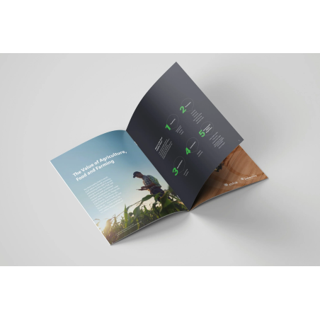 Brochure & Book Printing