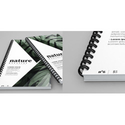 Brochure & Book Printing