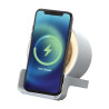 BT Speaker with 10W Wireless charger and Night lamp