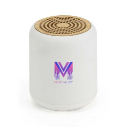 Eco-Friendly Bluetooth Speakers