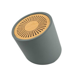 Bluetooth Speakers