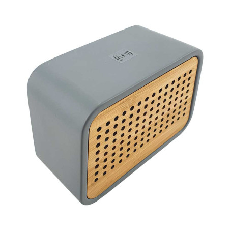 Wireless Charger 5W and BT Speakers