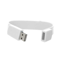 Wristband USB